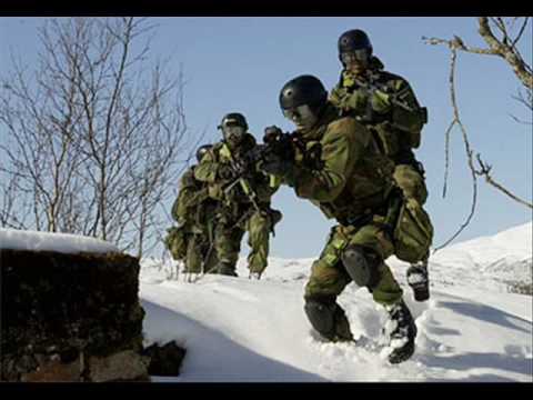 Det Norske Forsvaret (The Norwegian defence)