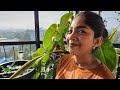 Canada To Thalassery Vlog Meeting Our Family ️ Vacation Kerala