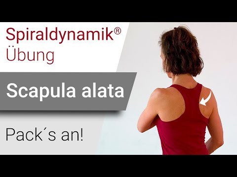 Spiraldynamik® Exercise: Skapula alata