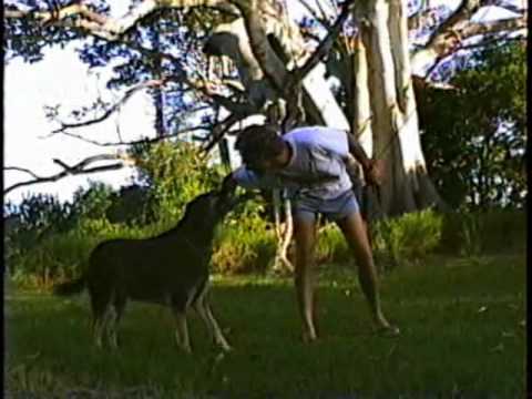 Australia 1988 - Part One