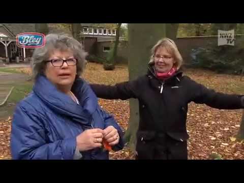 NWZ Kohlfahrtspiel Nr. 12 - Luftballon rasieren