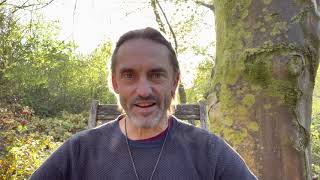 The Higher Crystalline Network