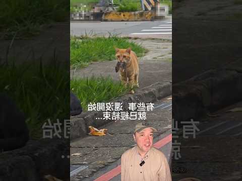 Влюблённый треугольник. ￼