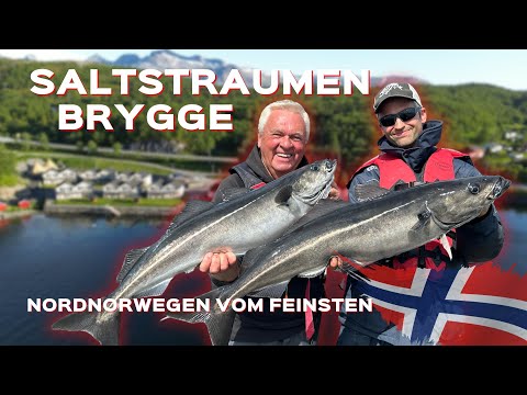 Angeln in Norwegen: Saltstraumen Brygge - Angeln auf Heilbutt, Dorsch, Pollack und Rotbarsch.