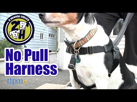 Freedom No Pull Harness from 2 Hounds Design