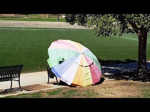 Video thumbnail for Paprika Pony