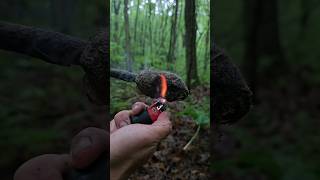 Making a Cook Stove/Torch with Pine Resin (aka sap) and Cattail Fluff