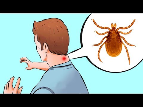 Пигментные пятна чем их вылечить Самые эффективные кремы от веснушек