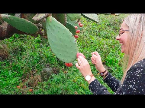 SICILY Sycylia | OCTOBER Październik 2018