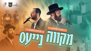 מקווה נייעס - מקהלת מלכות, ברוך הומינר, מוטי גולדמן - חתונה | Malchus Choir