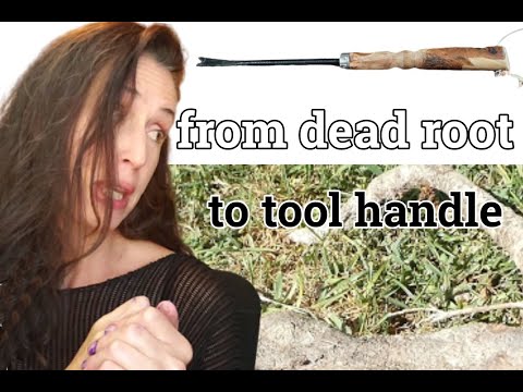 From Dead Root to New Tool Handle | Annie Roi Harmon