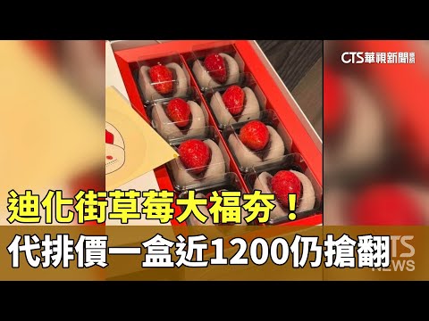 迪化街草莓大福夯！　代排價一盒近1200仍搶翻
