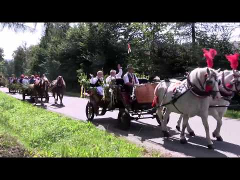 Zalasowianie - Pod zielonym dębem