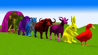 Paint & Animals Duck,Rabbit,Lion,Elephant,Tiger,Cow,Sheep Fountain Crossing Transformation Animals