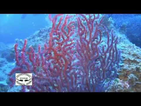 RTDSUB al Giglio   2013