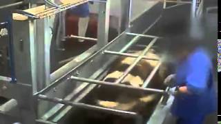 BRUTAL KILLING FARM 残酷屠杀场