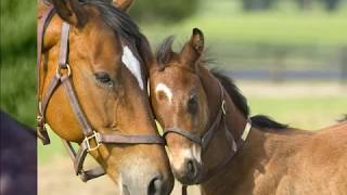 B* canta ^ AnyOne at All ^ - by Carole King