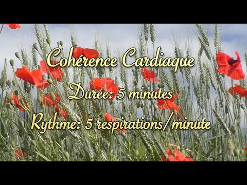 Cohérence cardiaque (cardiac coherence) - coquelicots dans les blés - 5 respirations/minute