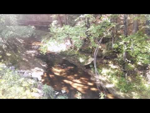 Get Bit! Fly Fishing Wisconsin Lyubaka Video