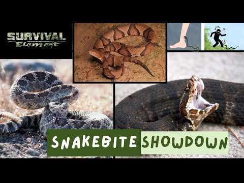 The Survival Element - Snakebite Showdown.  Rattlesnake vs Cottonmouth vs Copperhead