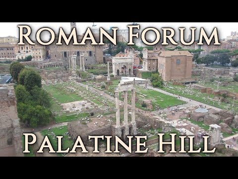 Tour of the Roman Forum and Palatine Hill