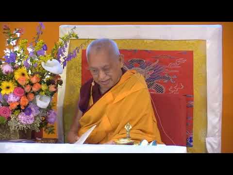 20190612 2030 LZR IVY FRANCE - How to take care of beings and how to use problems on the path