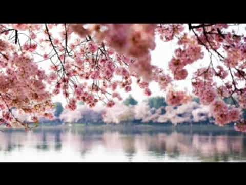 MWONA TALKS #2: RAMADAN - THE MONTH OF HOPE.