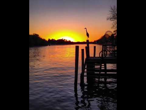 Aprenderé. Letra de la canción  del grupo La Otra.