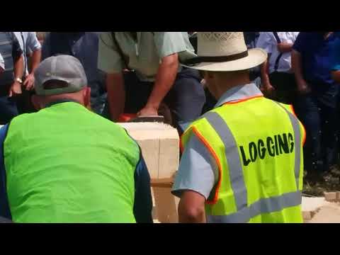 Chain saw competition on HORSE PROGRESS DAYS, 2018