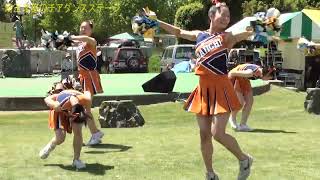 SAITAMA SPRING FESTIVAL CHEERDANCE