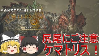 【MHWs】ぼっちハンターがいくモンハンワイルズ！【ゆっくり実況】part4