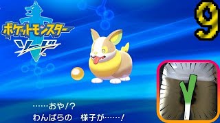 【ポケモン剣】急所 瀕死で金的縛り！part9【初見飲酒実況】