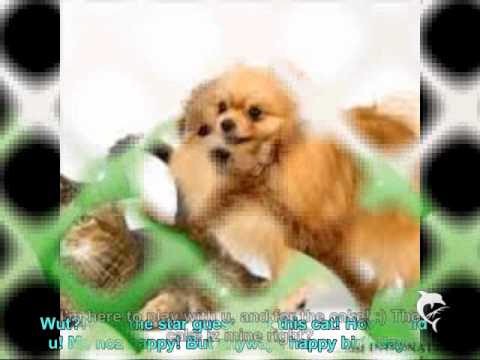 Happy Birthday Neeraja!