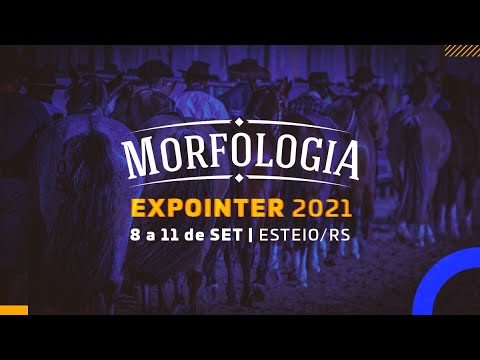 Morfologia Expointer - Julgamento Morfológico dos Campeonatos (11/09/2021)