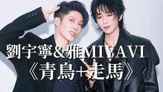 Download lagu 【純享版】劉宇寧&雅MIYAVI《青鳥 走馬》 時隔多年又唱了讓他在街頭爆火的歌 #音樂安利站 mp3