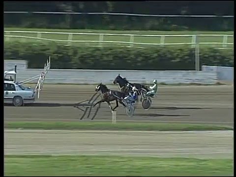 Trotto 10/04/2016 - prova di qualifica