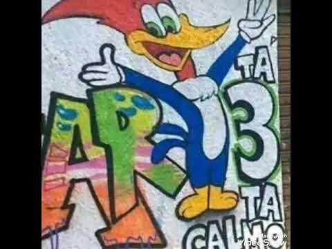 Mc sperto f1 pcc brotei