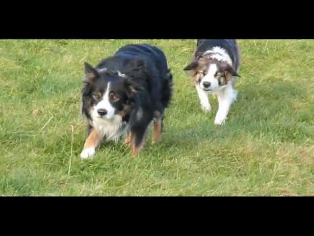 YouTube video preview