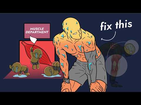 This is why your muscle get tired