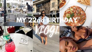 MY 22nd BIRTHDAY VLOG! //SOUTH AFRICAN YOUTUBER