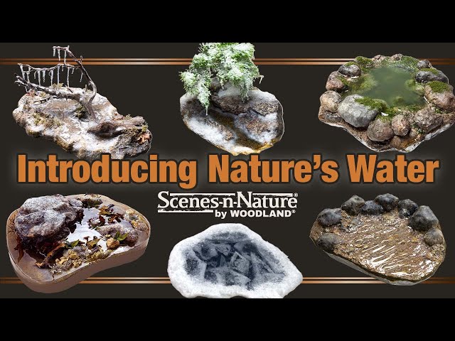 Introduction to Nature's Water™ | Taxidermy Supply Video