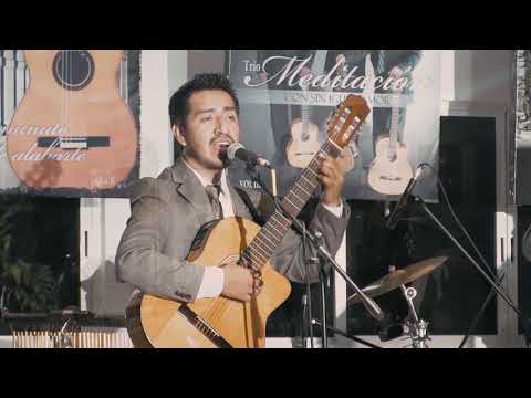 Trío Meditación - Tu bandera - Concierto de reunión en vivo