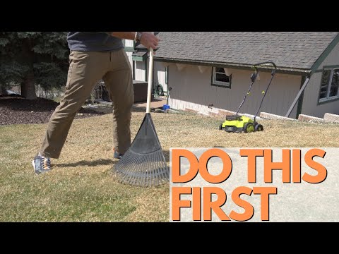 Don't SKIP THIS STEP! How To HAVE THE HEALTHIEST LAWN FAST