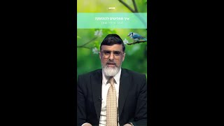 איך מחליטים להתחתן? הרב איתי שמן💜 (ארגון ערכים) - התמונה מוצגת ישירות מתוך אתר האינטרנט יוטיוב. זכויות היוצרים בתמונה שייכות ליוצרה. קישור קרדיט למקור התוכן נמצא בתוך דף הסרטון