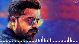 Paravaigal Song|Vantha Rajavathaan Varuven | STR | MASS SONG|Hiphop Tamizha | Sundar C |