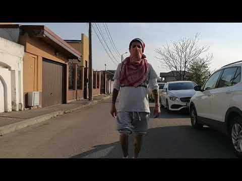 Shobby  -  Am Dragan