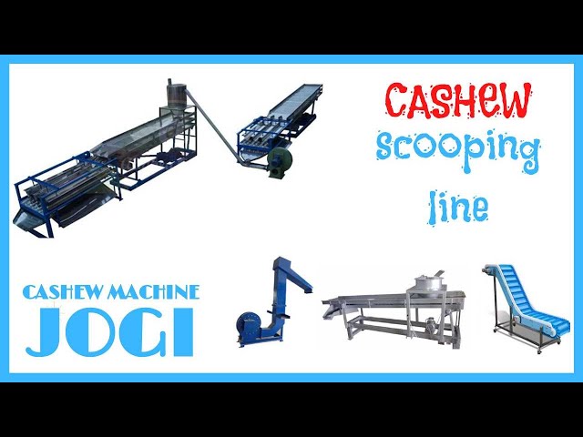 Cashew Nut Processing Machine - Cashew Scoping Machine Manufacturer ...