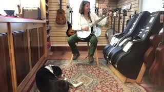 Gold Tone's CC50 Resonator Banjo at Guitar House Workshop