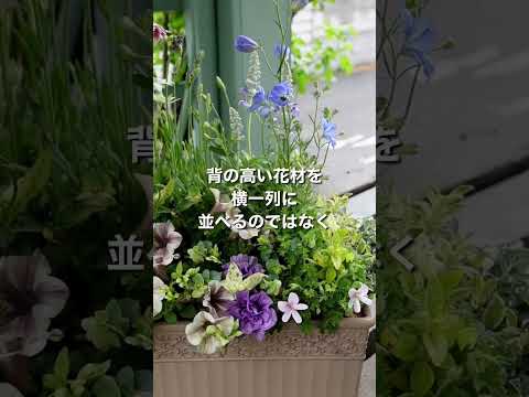 苗木をどのようにサポートするか、アイデア、安価なリサイクル栽培ポットのビデオ手順