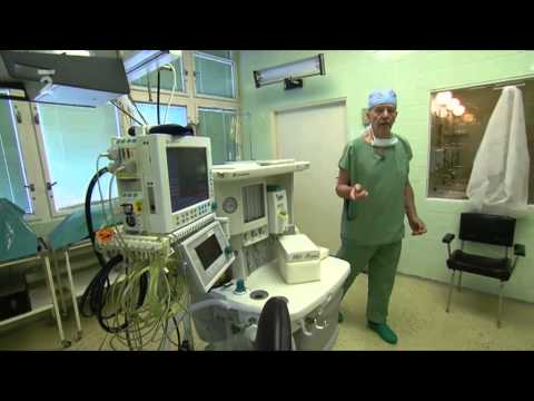 Metuzalém; Jediné skutečné bohatství - doktor věd František Koukolík